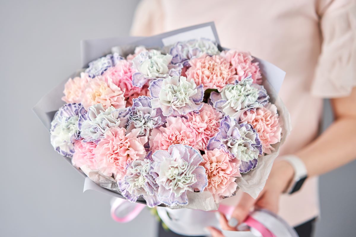 Tipuri de garoafe, cum le deosebești și cu ce ocazie le poți oferi în buchete colorate de flori