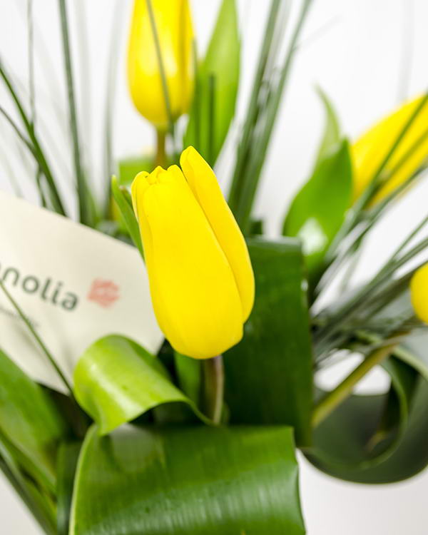 Bouquet with 7 yellow tulips