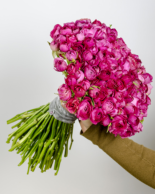 Buchet 131 ranunculus roz