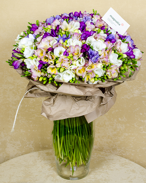 Bouquet with 209 colorful freesias