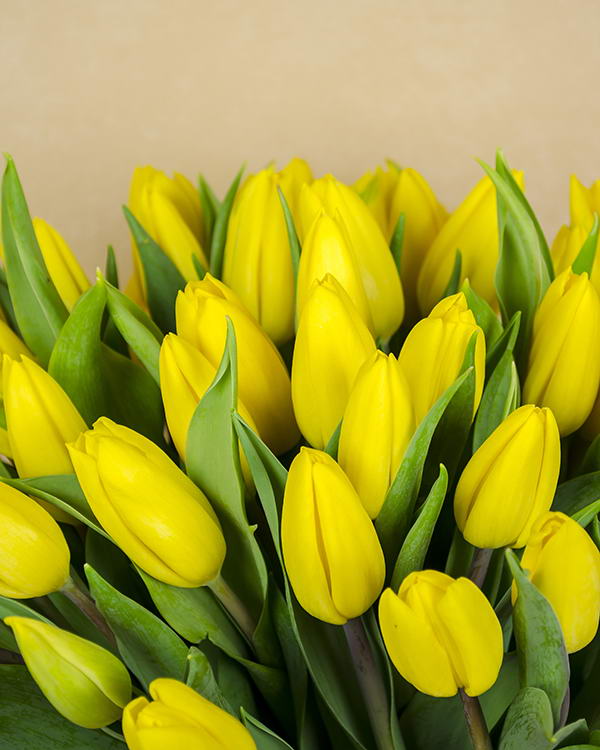 Bouquet with 51 yellow tulips