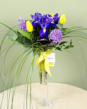 Bouquet with irises, tulips and hyacinth