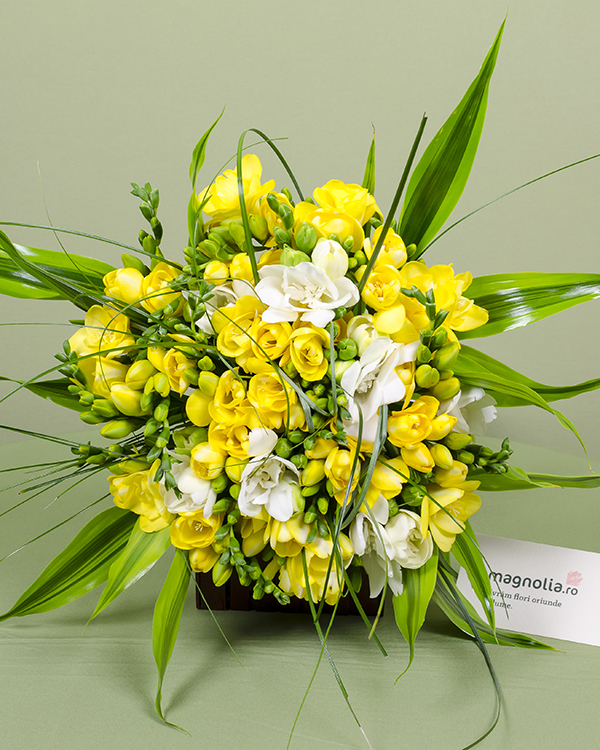 White, yellow freesias bouquet with decorative leaves