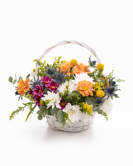 Basket with chrysanthemums and solidago