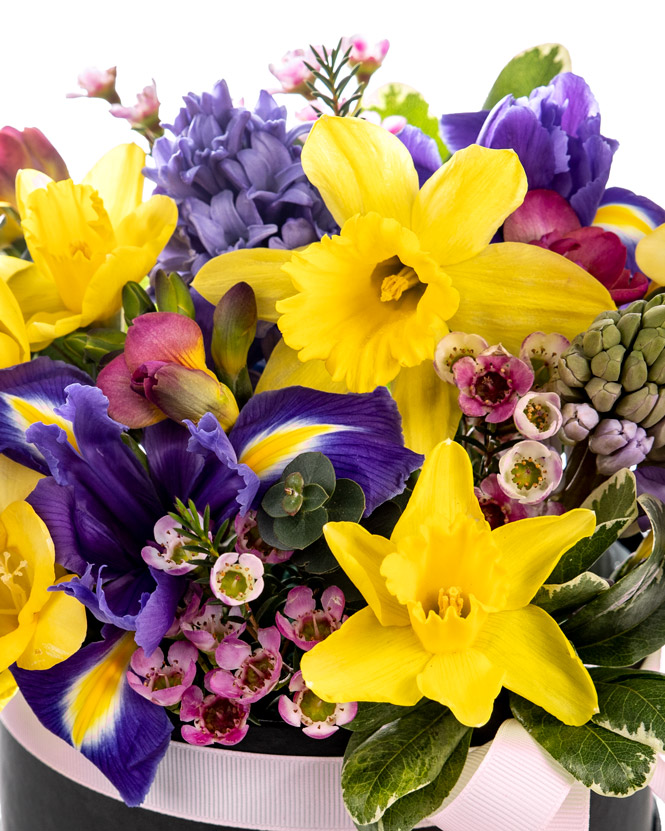 Spring box with perfumed flowers