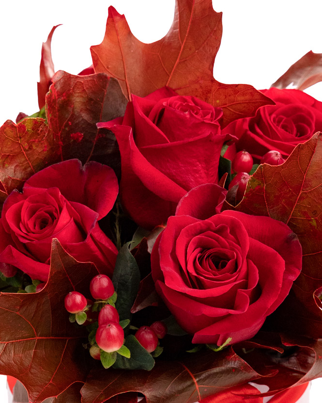 Red roses and hypericum box