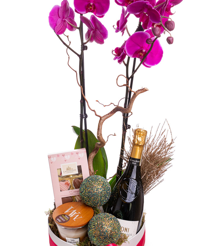 Christmas Gift with Orchid, Prosecco, Chocolate, and Scented Candle