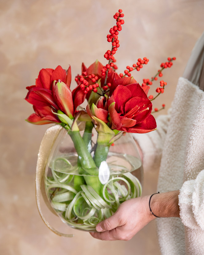 Buchet Amaryllis în vază de sticlă