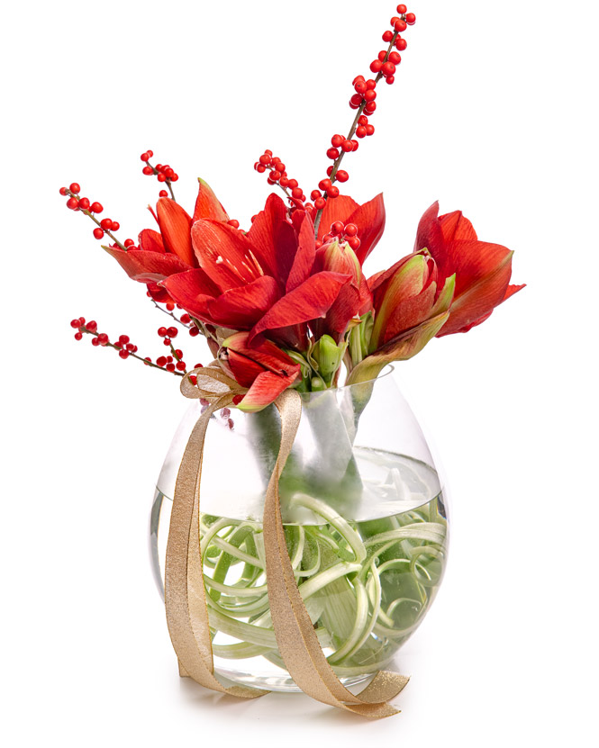 Amaryllis bouquet in a glass vase