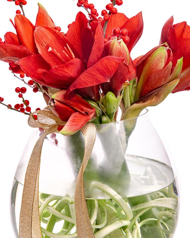 Amaryllis bouquet in a glass vase