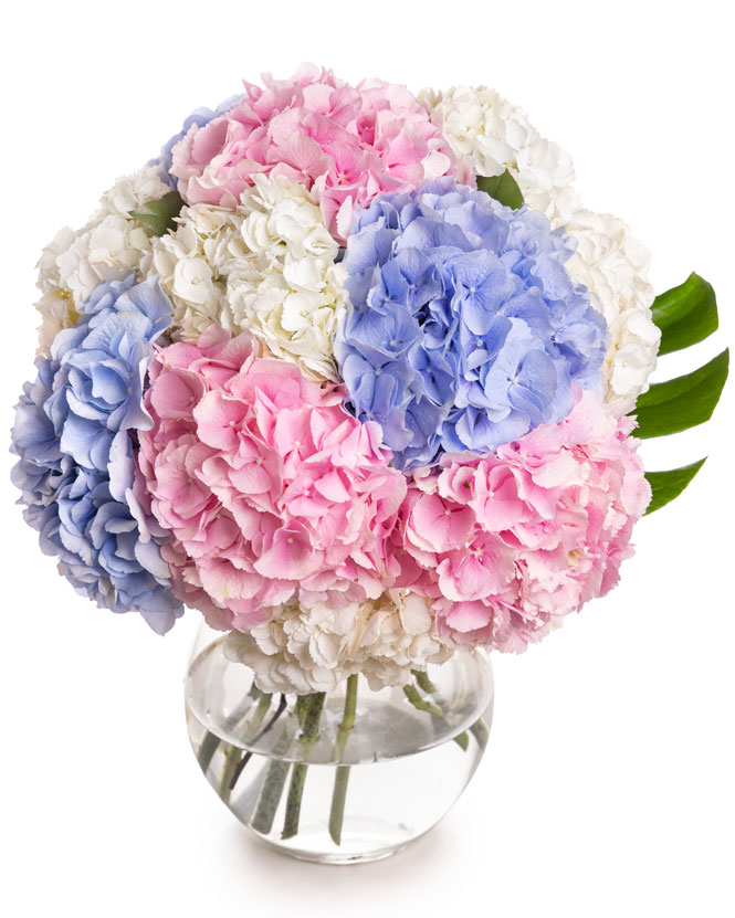 Colorful hydrangea bouquet