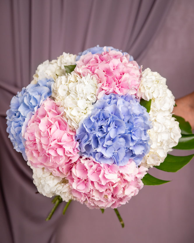 Colorful hydrangea bouquet