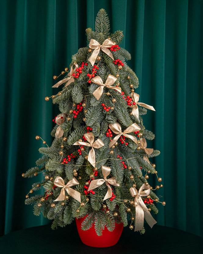 Decorated Christmas tree