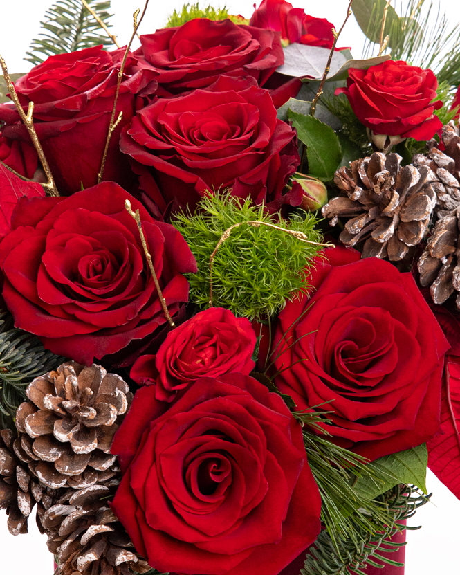 Poinsettia and red roses arrangement