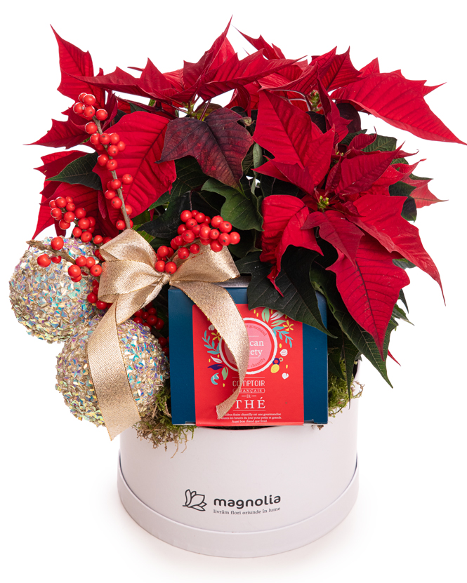 Holiday Gift with Tea and Poinsettia