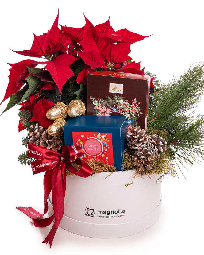 Holiday Gift with Chocolate,  Poinsettia and Tea