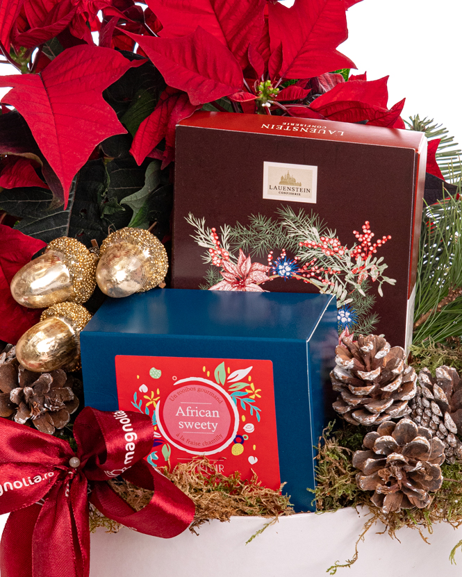 Holiday Gift with Chocolate,  Poinsettia and Tea