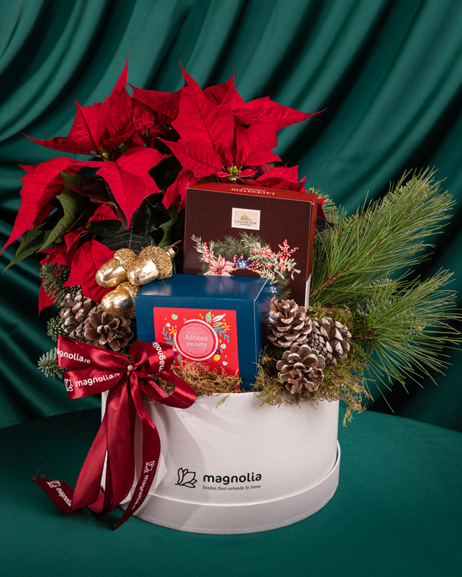 Holiday Gift with Chocolate,  Poinsettia and Tea