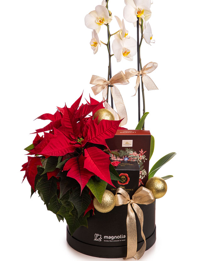 ”Merry Christmas” arrangement