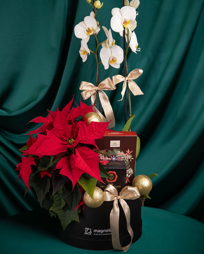 ”Merry Christmas” arrangement