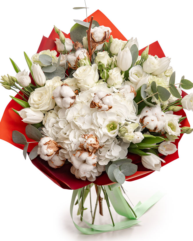 Bouquet of Tulips and White Hydrangeas