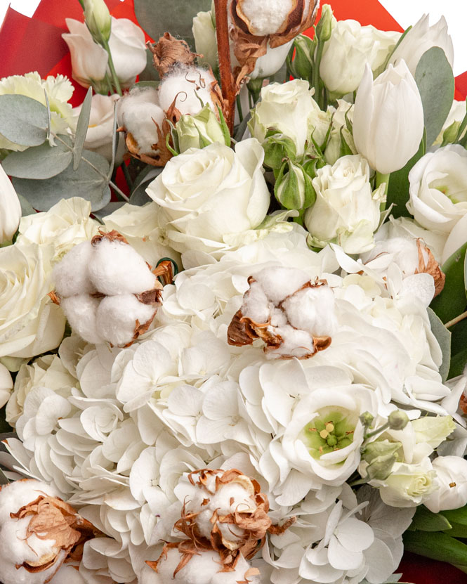 Bouquet of Tulips and White Hydrangeas