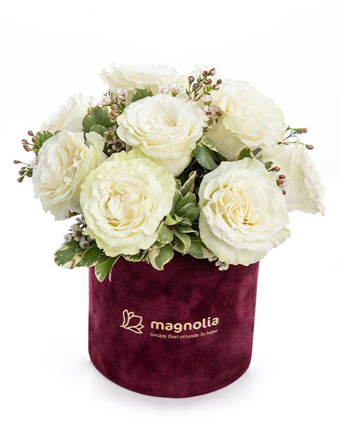 White roses arrangement in velvet box