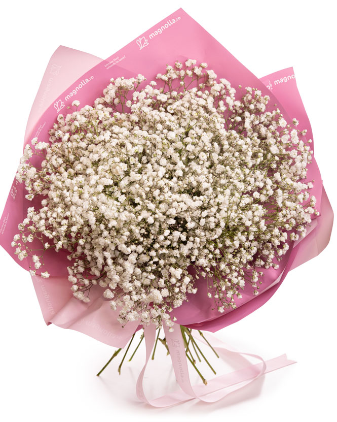 Buchet Gypsophila