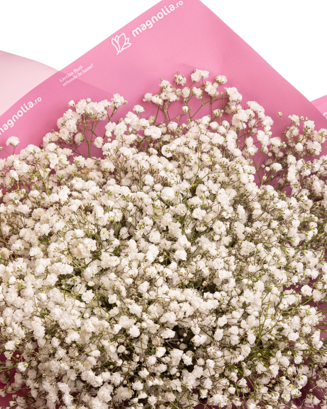 Buchet Gypsophila