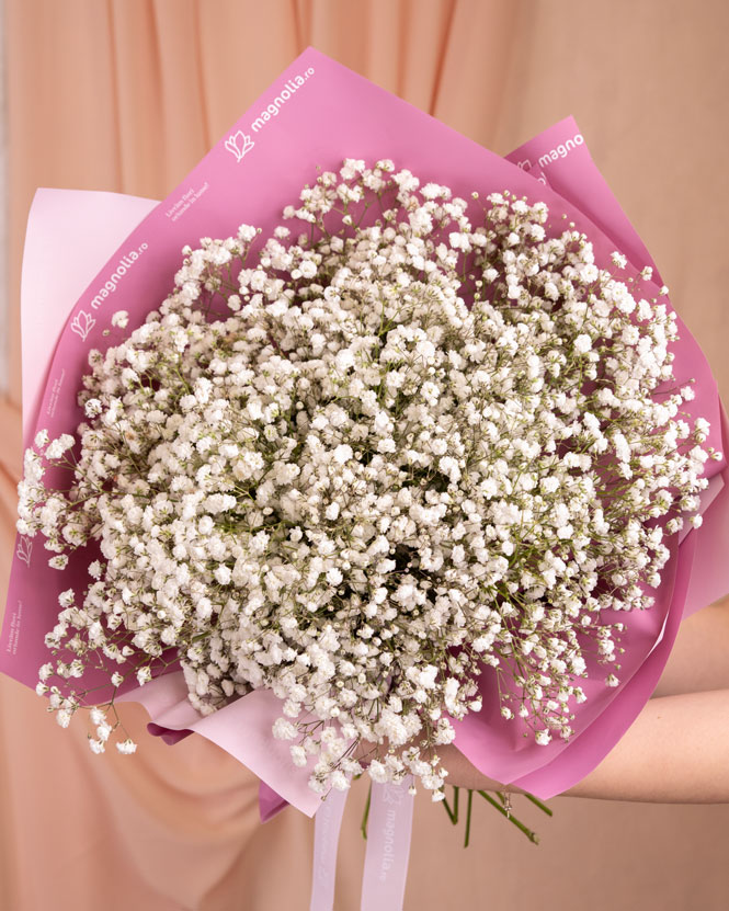 Buchet Gypsophila