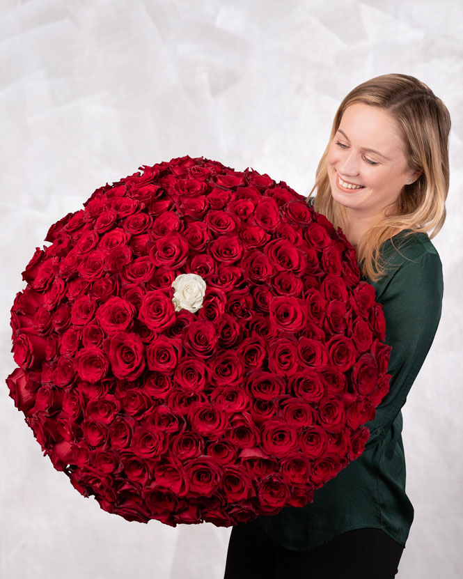 Bouquet of 200 red roses and one white rose