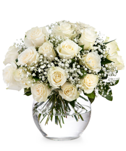 Buchet trandafiri albi şi gypsophila